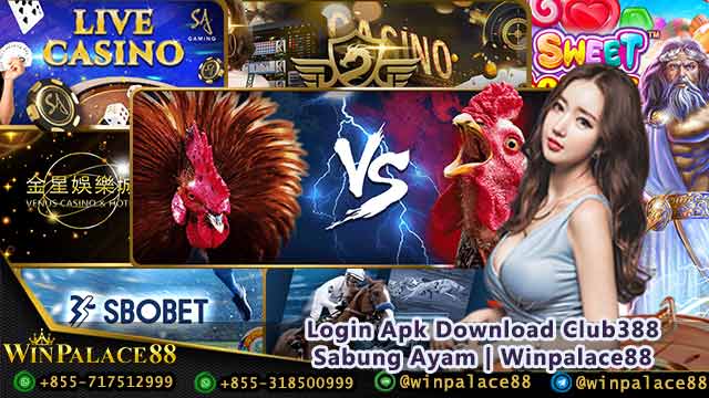 Login Apk Download Club388 Sabung Ayam | Winpalace88 Login Apk Download Club388 Sabung Ayam | Winpalace88